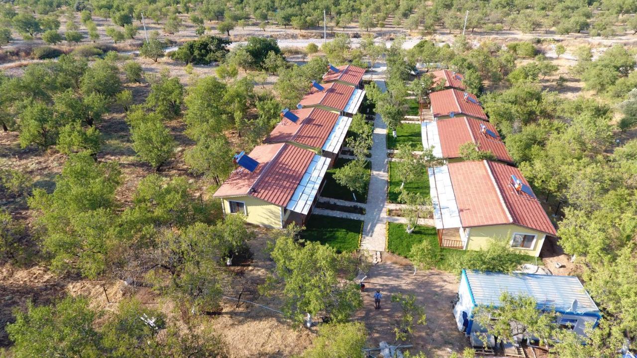 Selerdoga Evleri Hotel ปาลามุทบูคู ภายนอก รูปภาพ